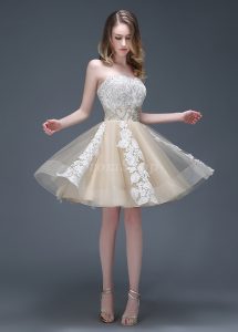 Tactile Short/Mini Natural Sleeveless Tulle Champagne Homecoming Dresses